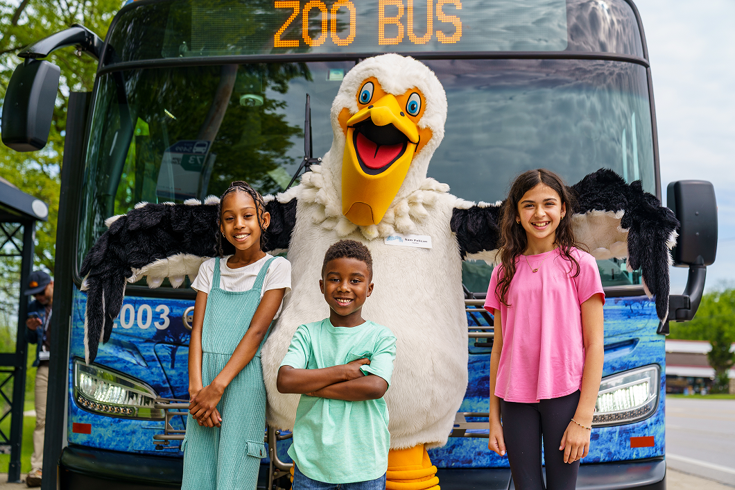 COTA Zoo Bus returns May 9